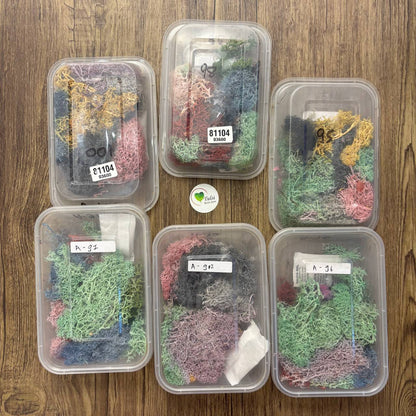 Random Sea Grass Box