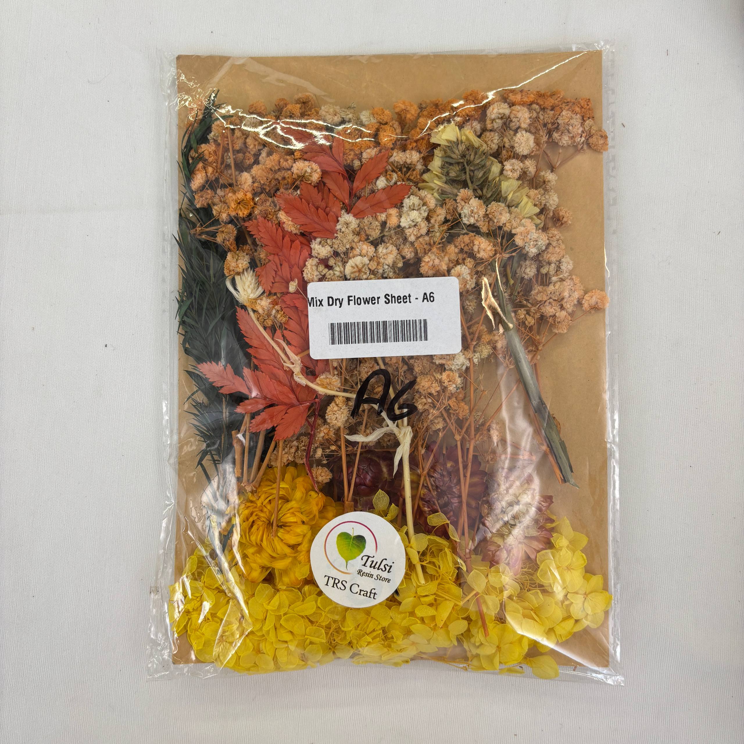 ورقة زهور جافة مختلطة - A6