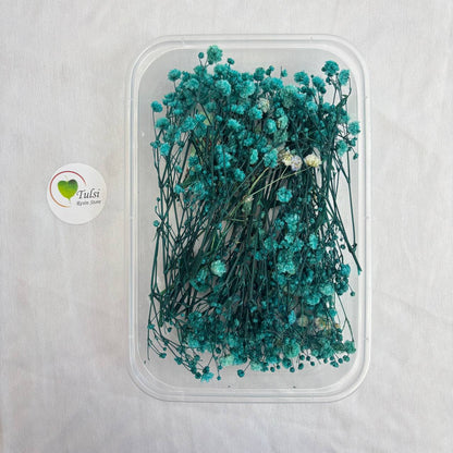 Gypsy Flower Box - (D)