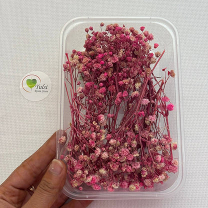 Gypsy Flower Box - (F)