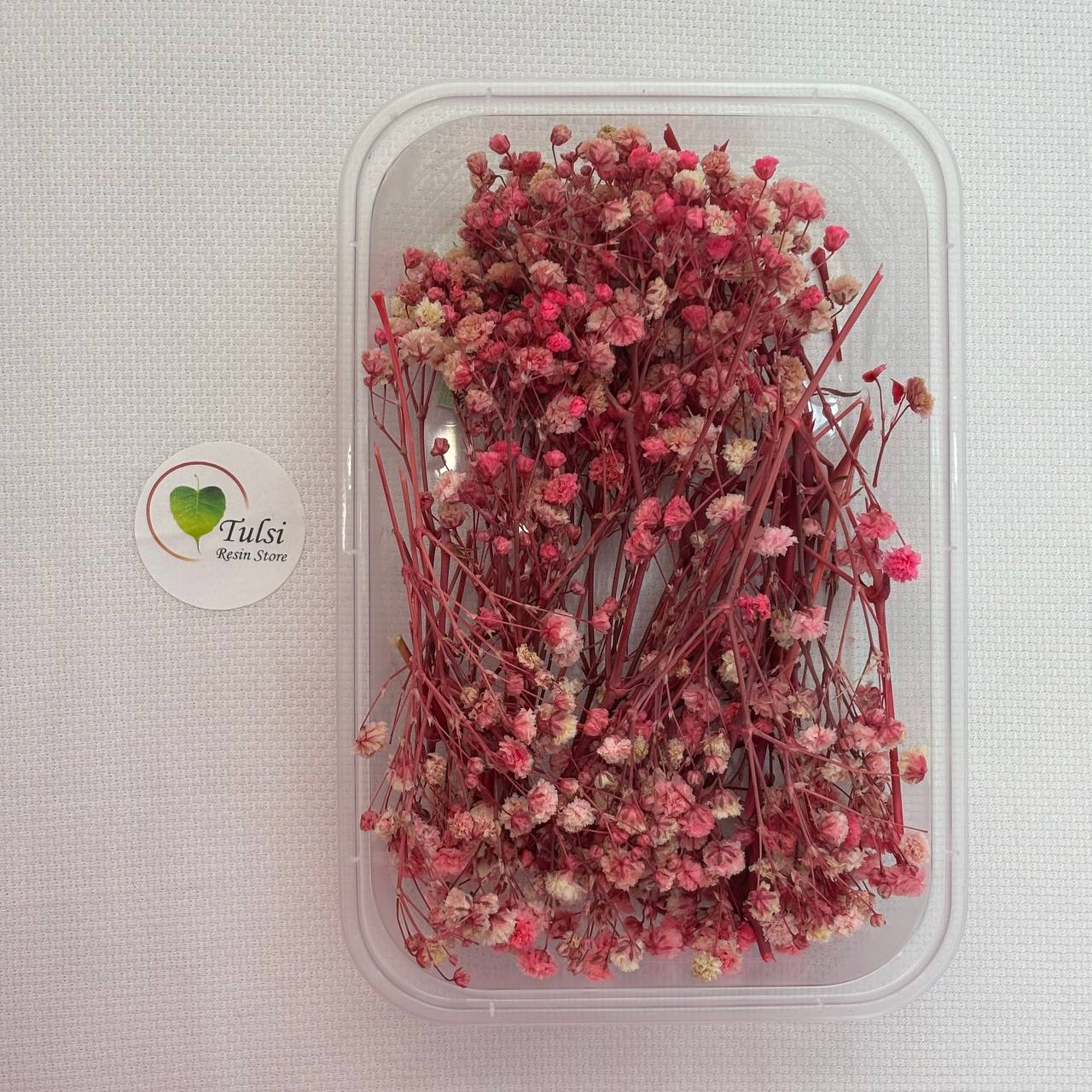 Gypsy Flower Box - (F)