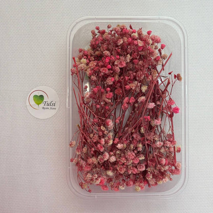 Gypsy Flower Box - (F)