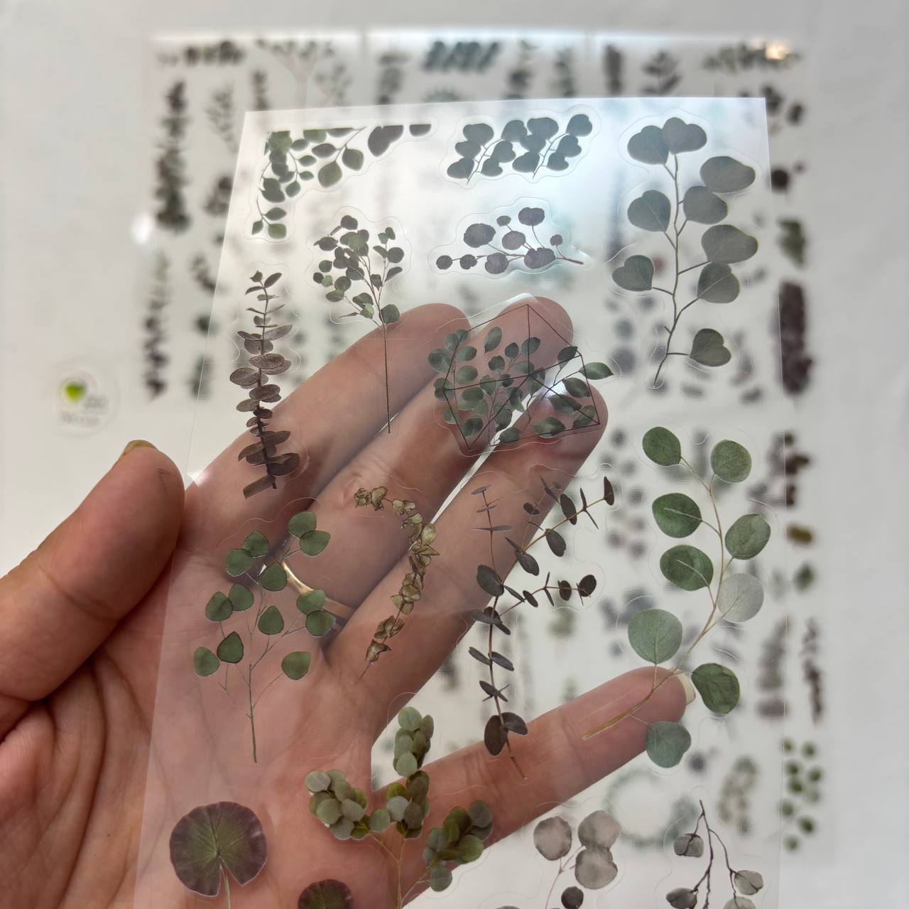 Transparent Sticker Sheet - Leaf (A3)