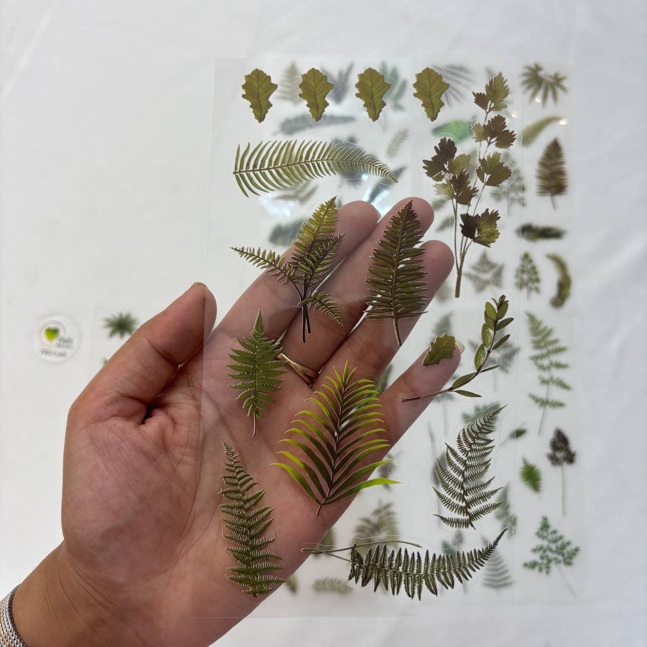 Transparent Sticker Sheet - Leaf (A3)