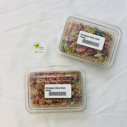 Distash/Defective Himalayan Daisy Dried Flower (2 Box)