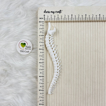 3D Miniature (A28) - Spinal Cord