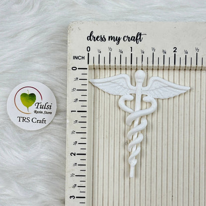 3D Miniature (A29) - Doctor Logo Tulsi Resin Store