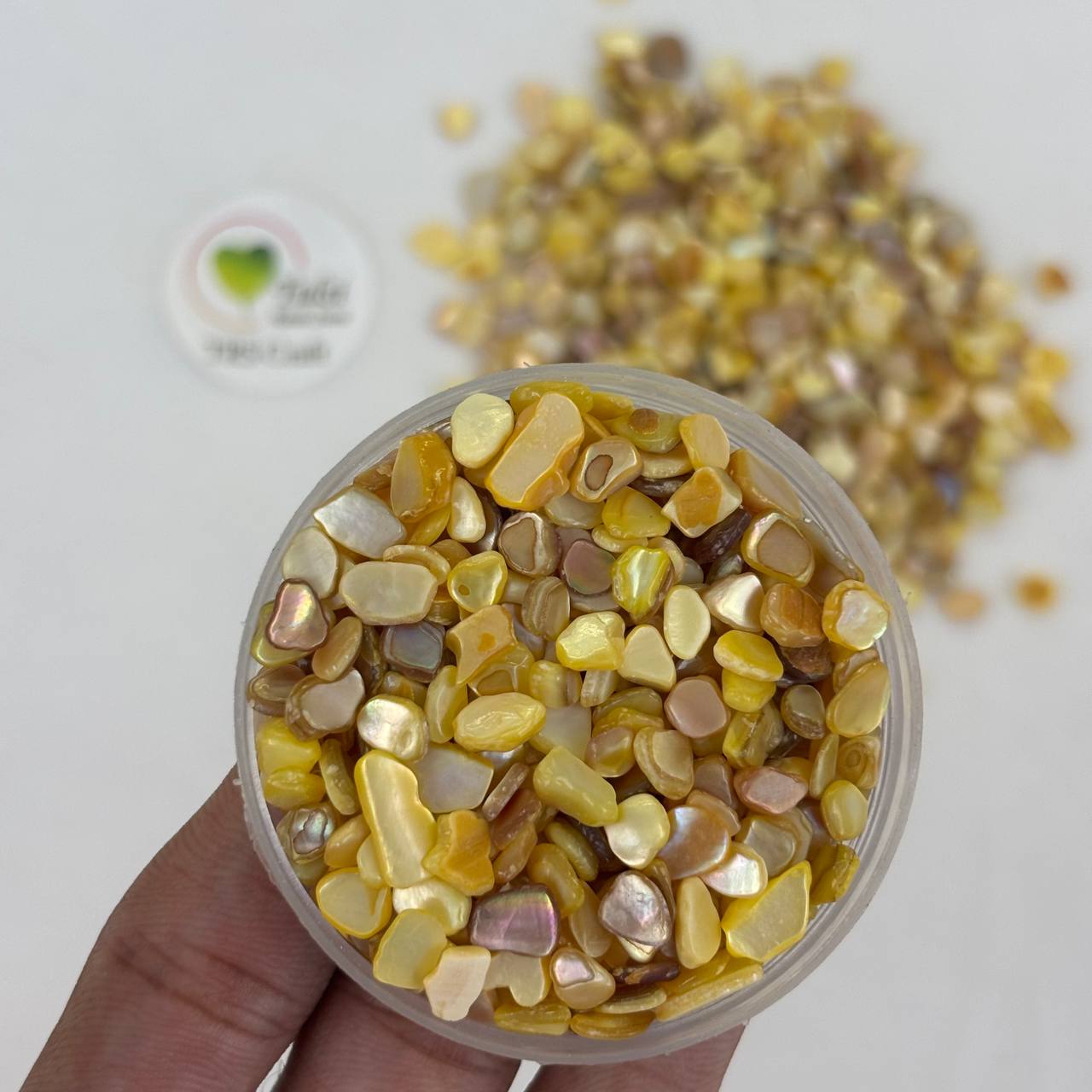 Earth Shell Chips