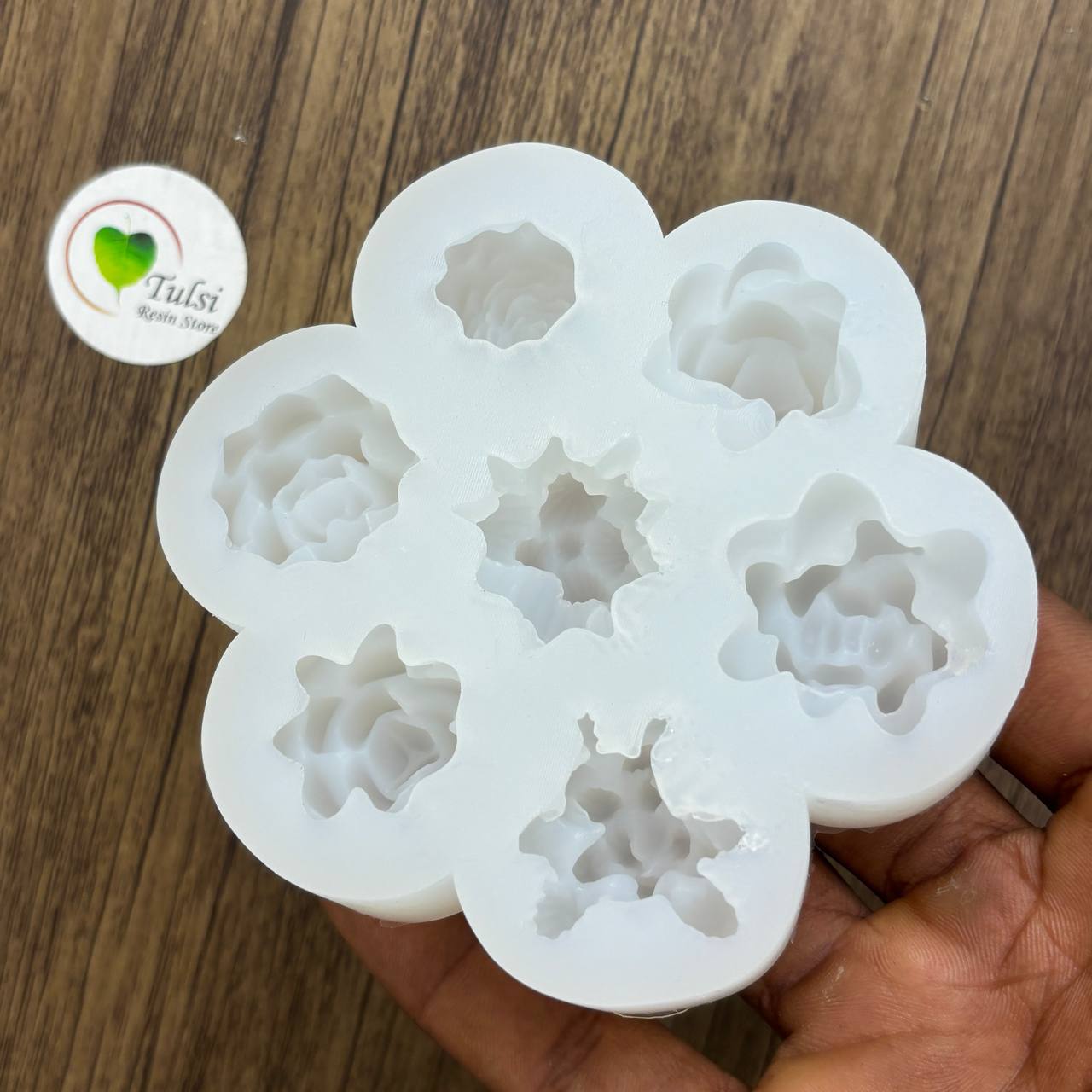 Mini Succulent Plant Mould