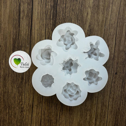 Mini Succulent Plant Mould