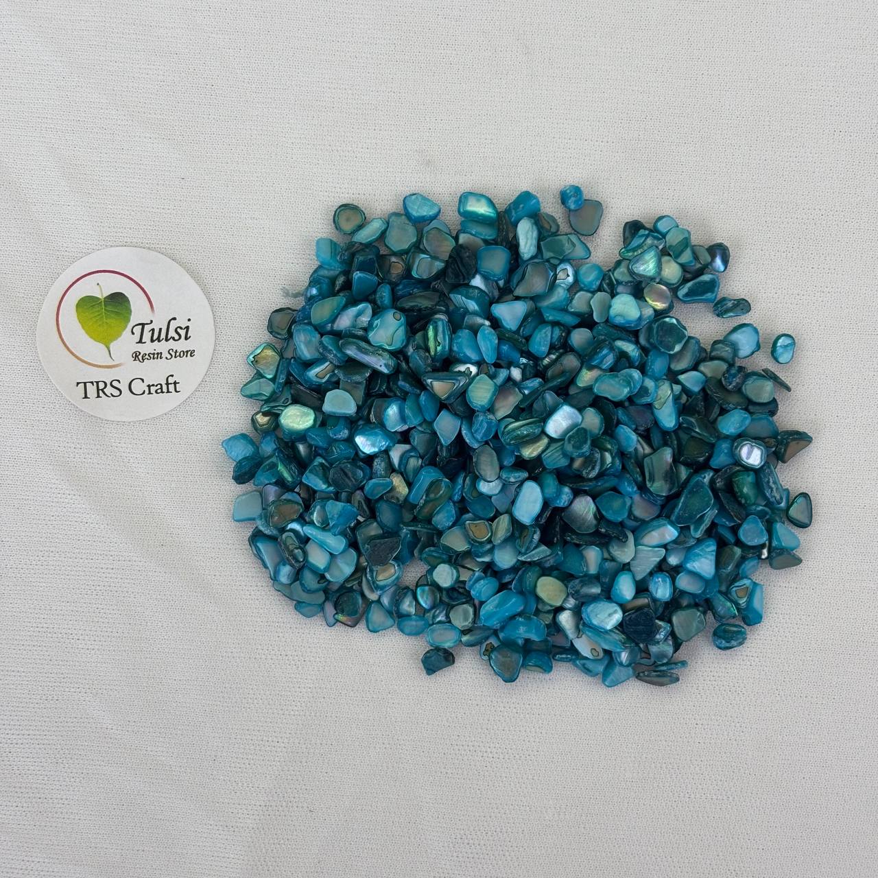 Dark Blue Shell Chips