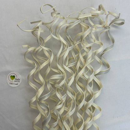 Dried Curly Palm Open Stem (5 Sticks)