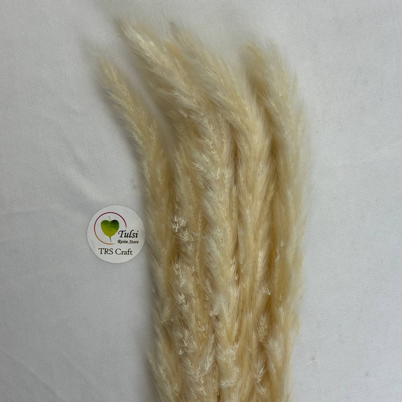 Colourful Pampas Feather Stick  (2 pcs)