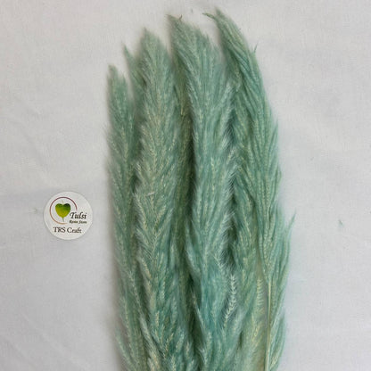 Colourful Pampas Feather Stick  (2 pcs)