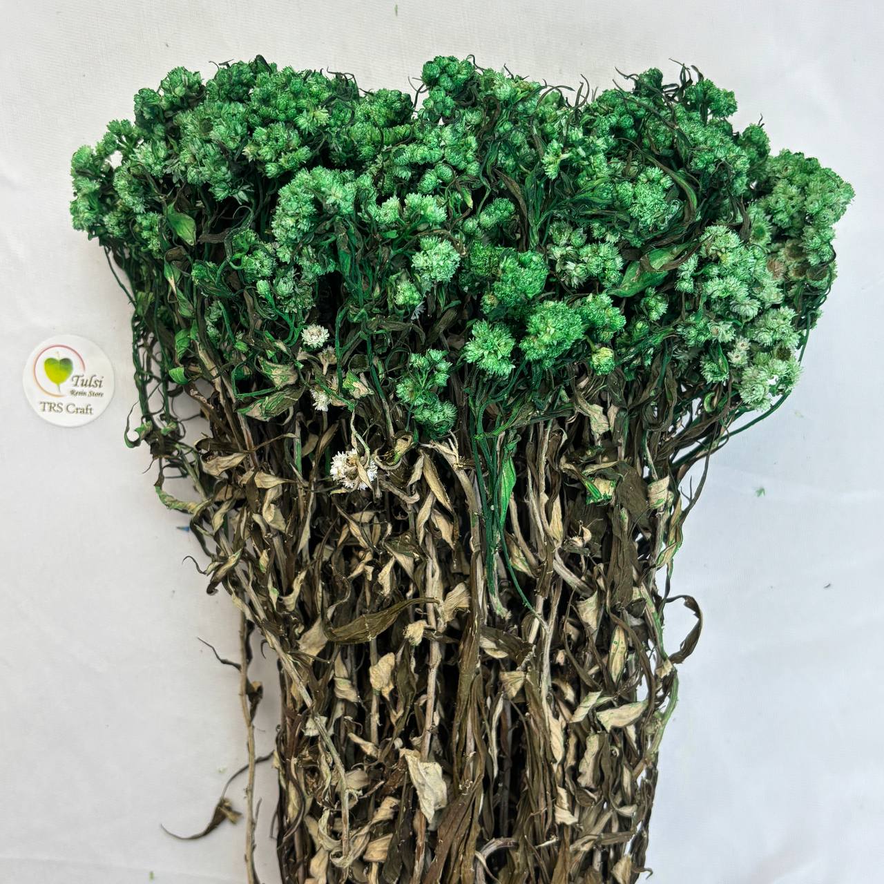 Wild Daisy Dry Flower Box - (H)