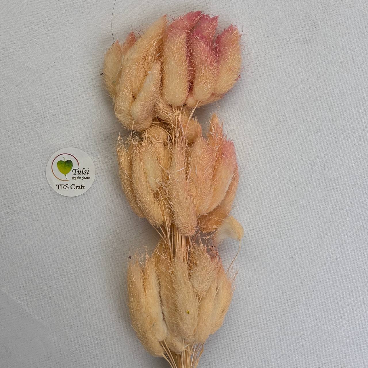ذيل الأرنب (5 قطع)