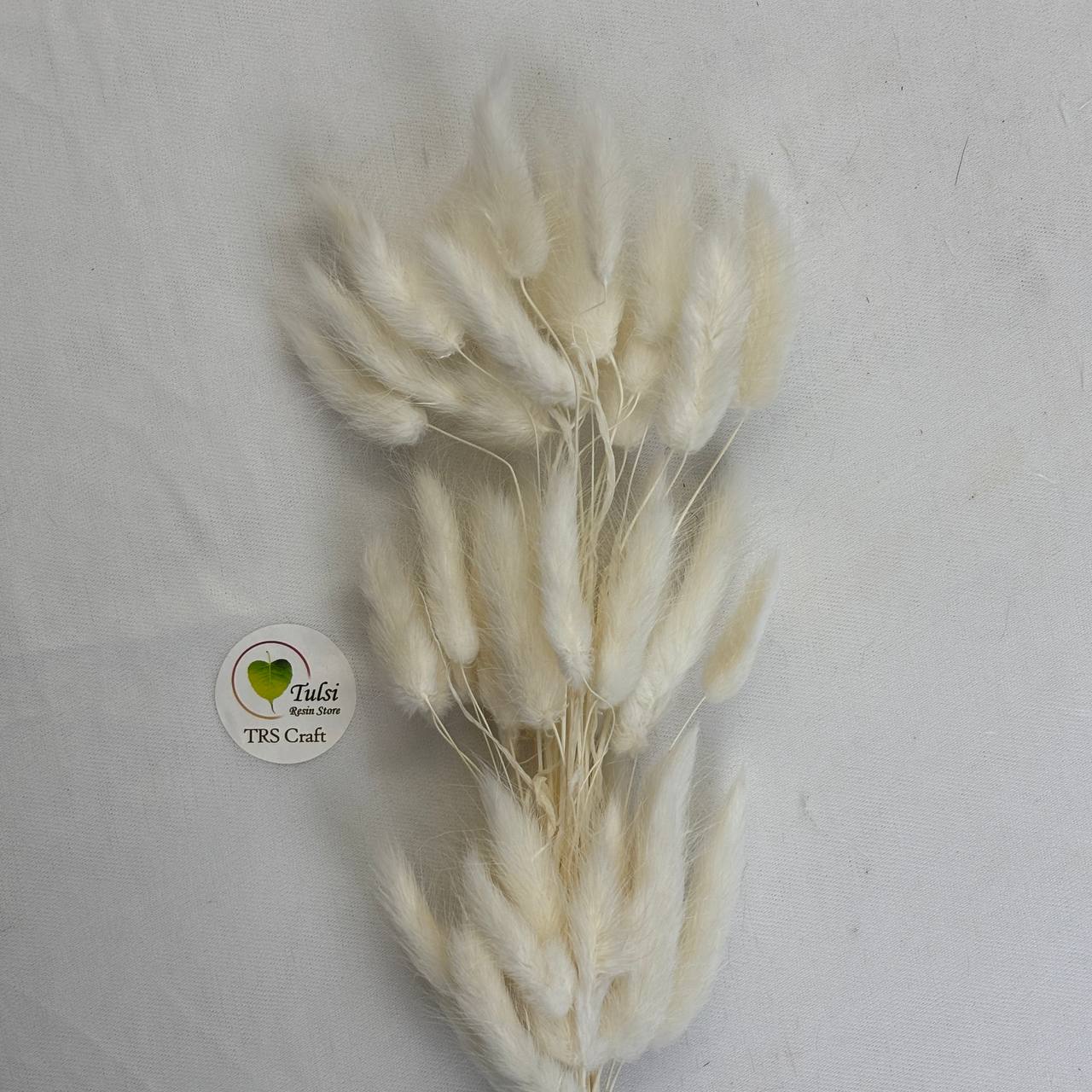 Bunny Tail (5 Pcs)