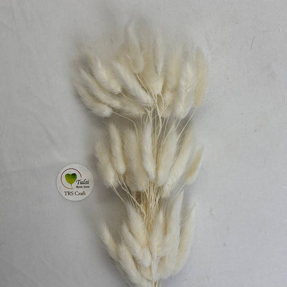 Bunny Tail (5 Pcs)
