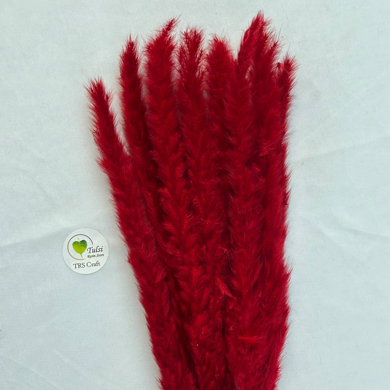 Colourful Pampas Feather Stick  (2 pcs)