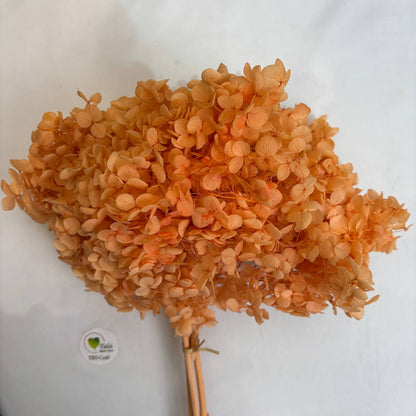 Hydrangea Dry Flower Box - (G) - - Tulsi Resin Store