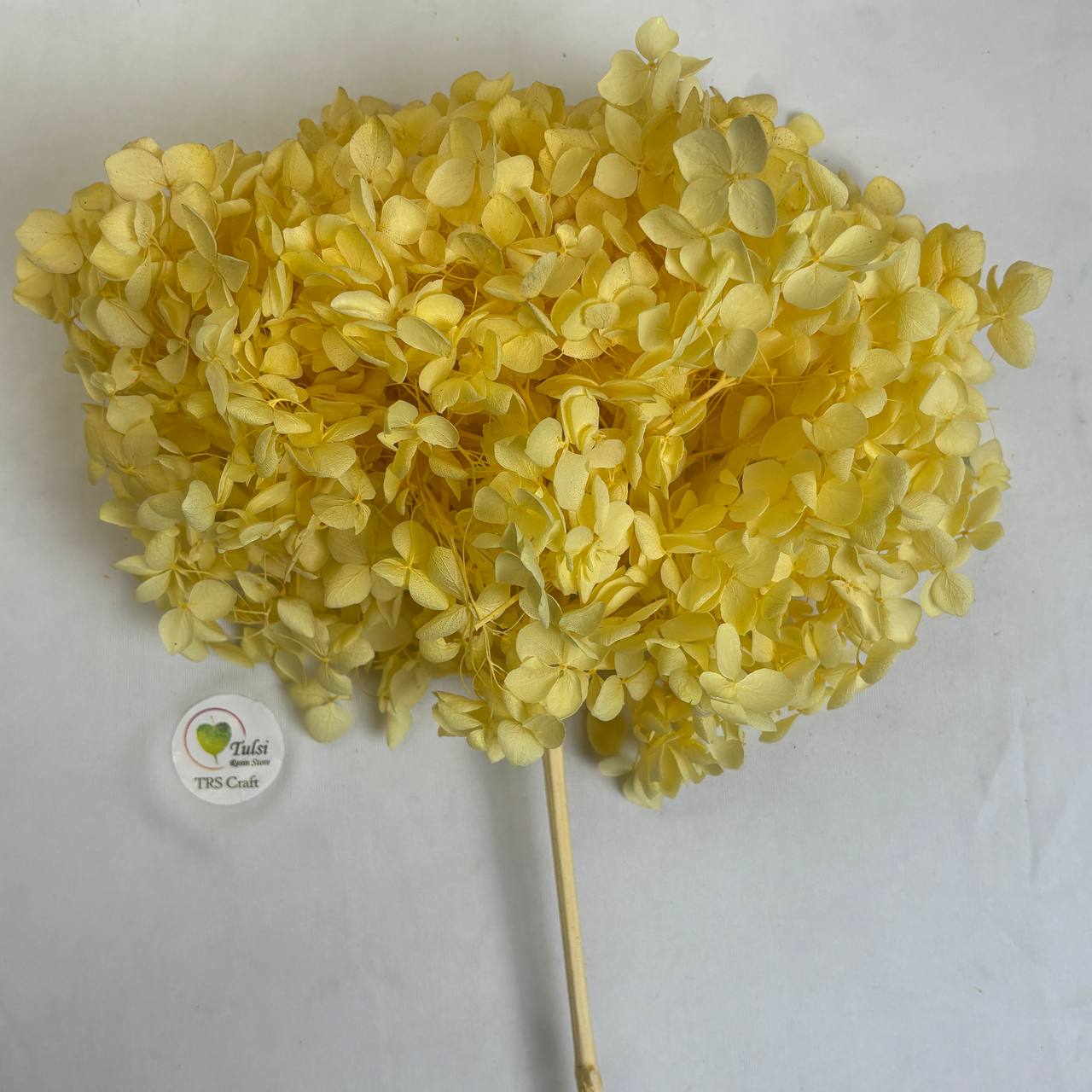 Hydrangea Dry Flower Box - (A)