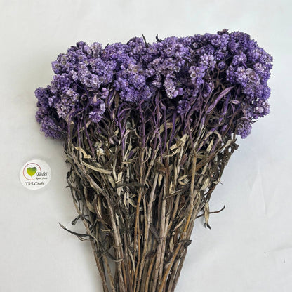 Wild Daisy Dry Flower Box - (C)