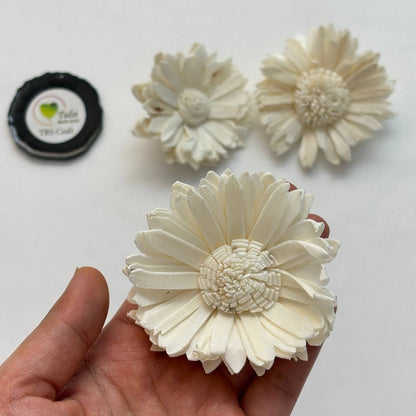 Solawood Flowers - Sunflower (5 Pcs)