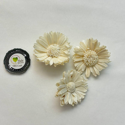 Solawood Flowers - Sunflower (5 Pcs)