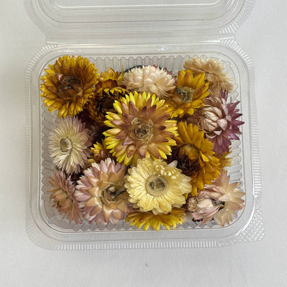 3D Dry Flower box