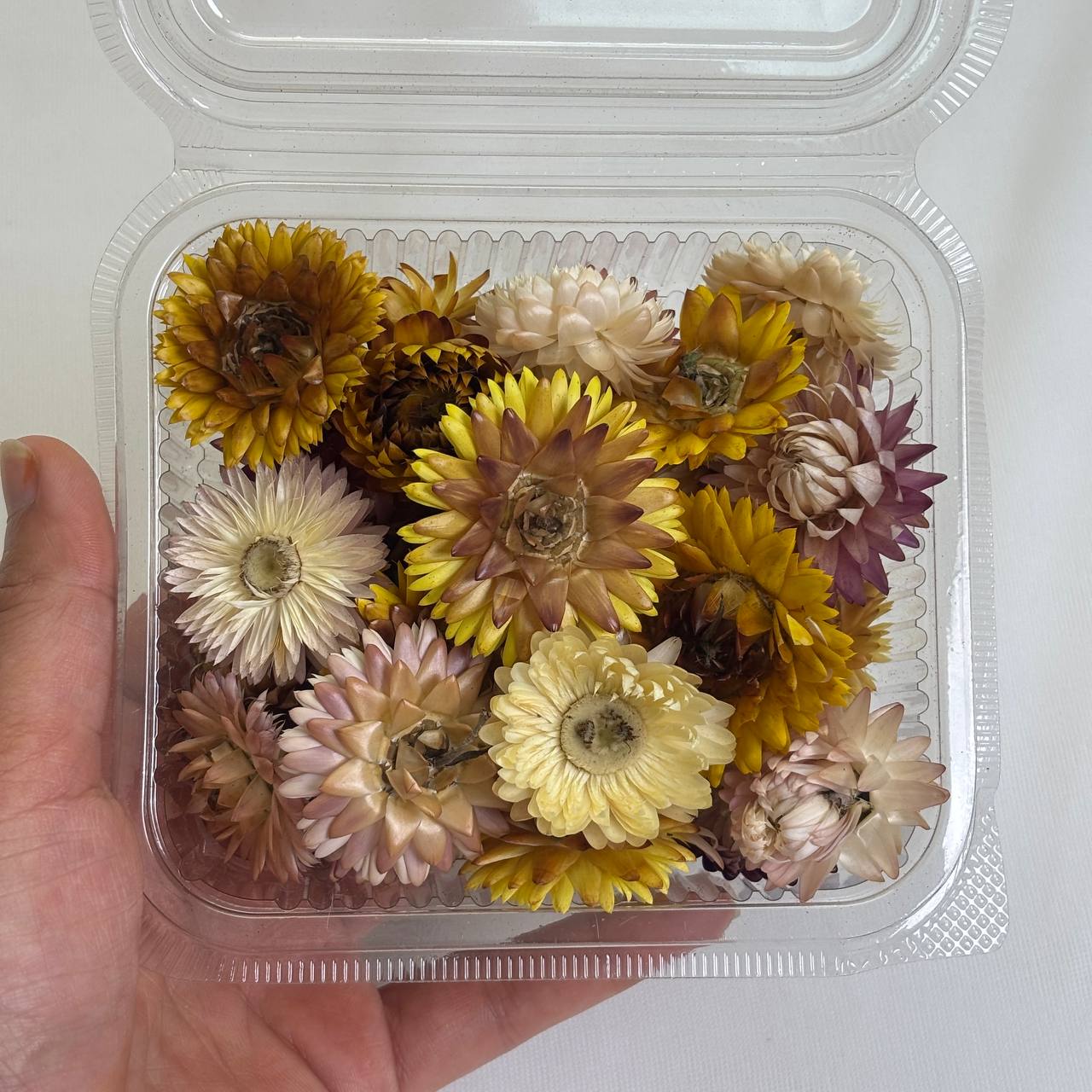 3D Dry Flower box