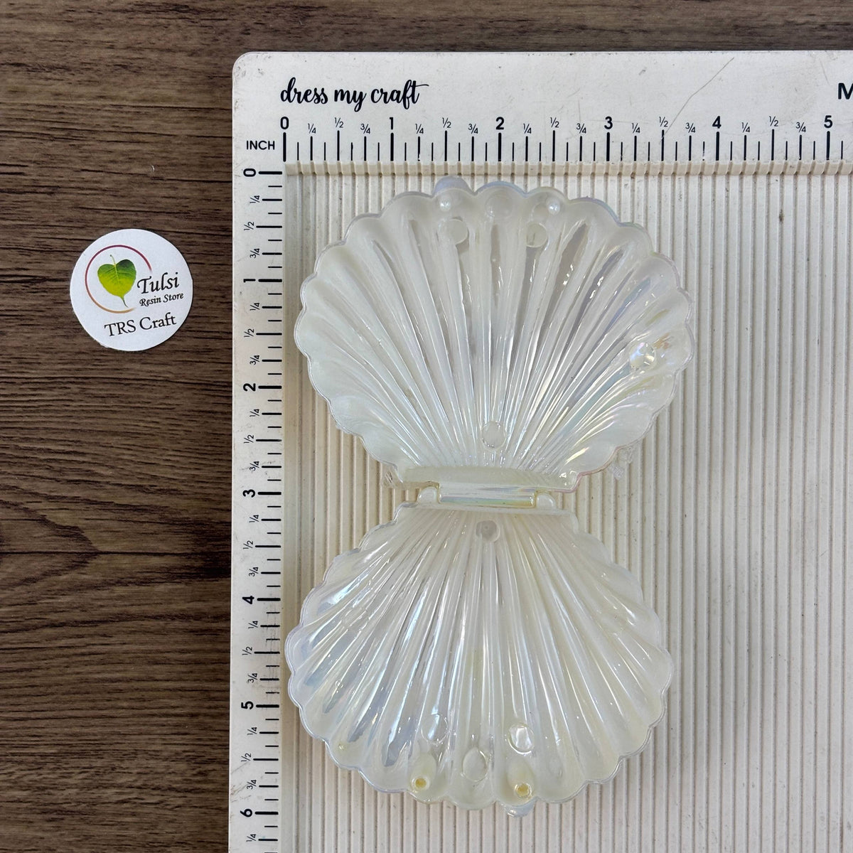 Shell Ring Storage Box