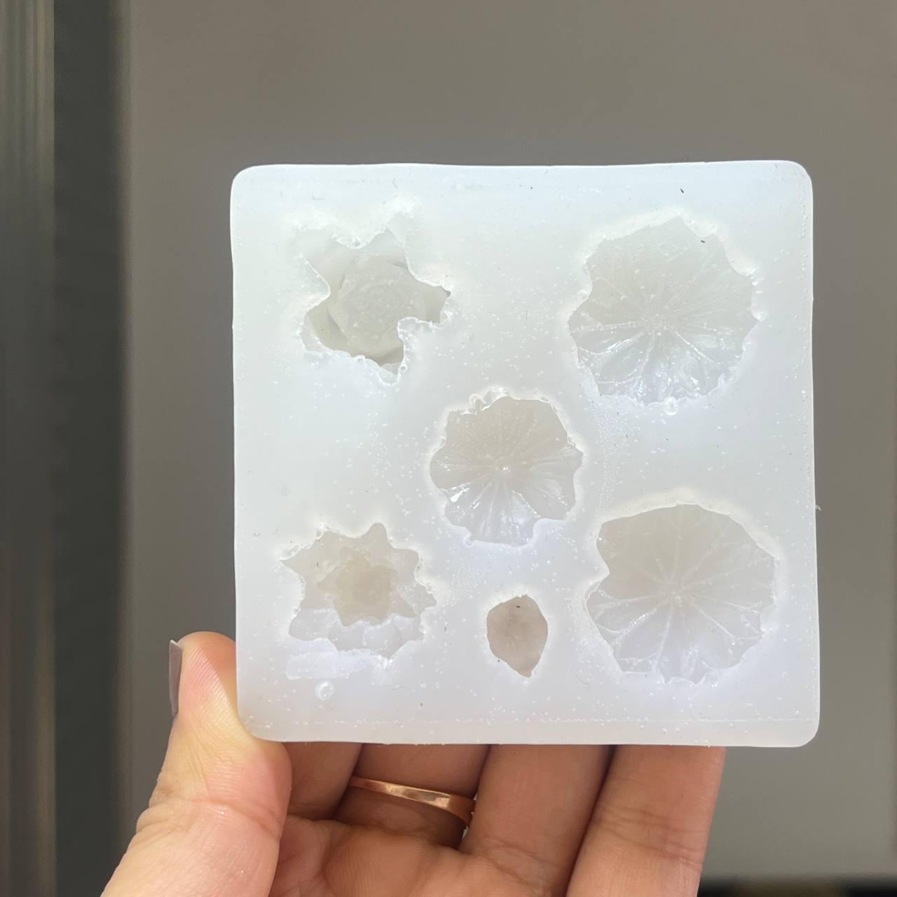 Lotus Pond Miniature Mould - 6 Cavity (HM)