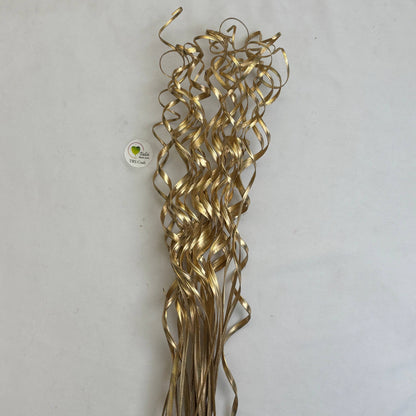 Dried Curly Palm Open Stem (5 Sticks)
