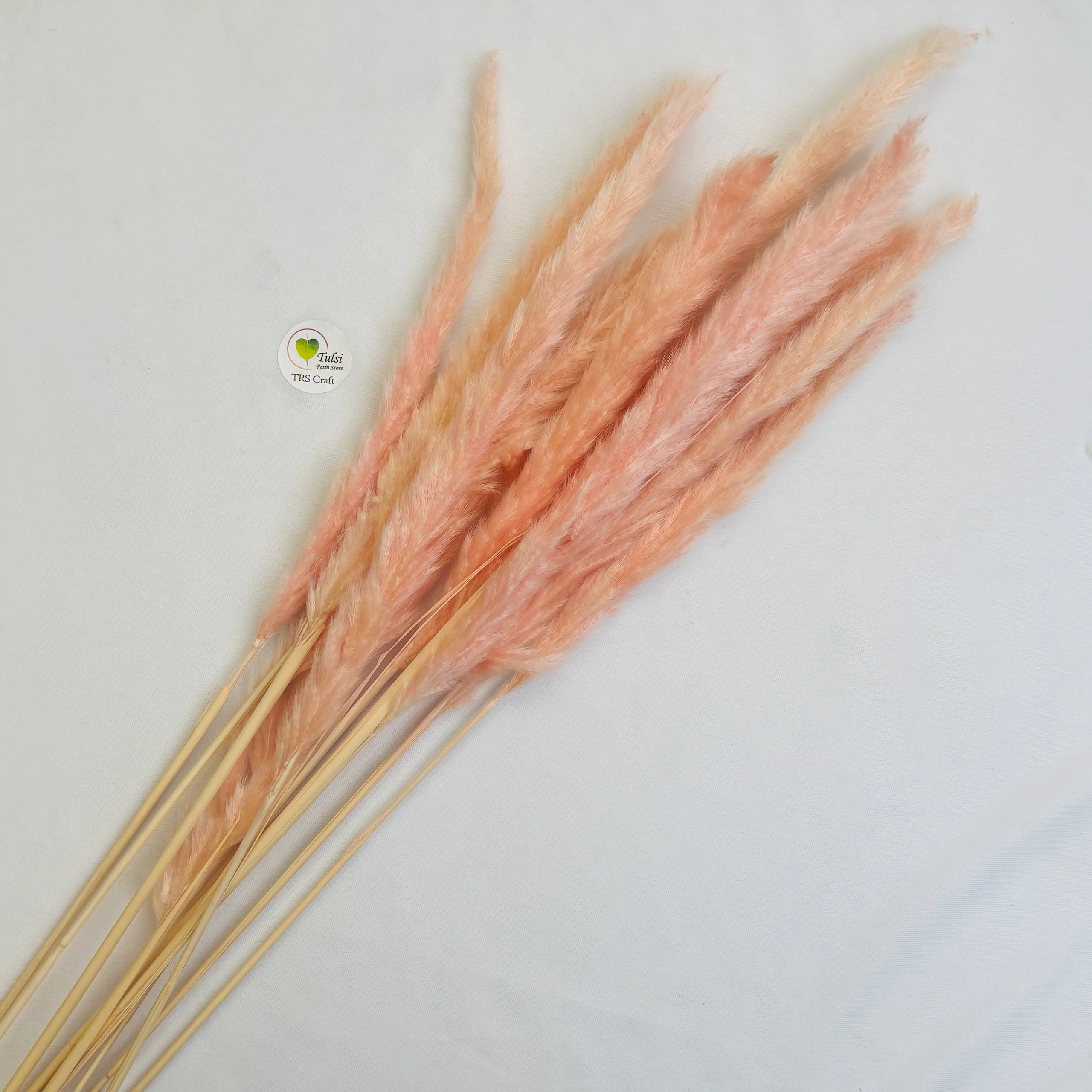 Colourful Pampas Feather Stick  (2 pcs)