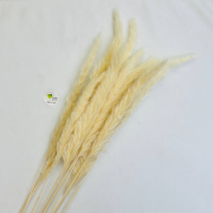 Colourful Pampas Feather Stick  (2 pcs)
