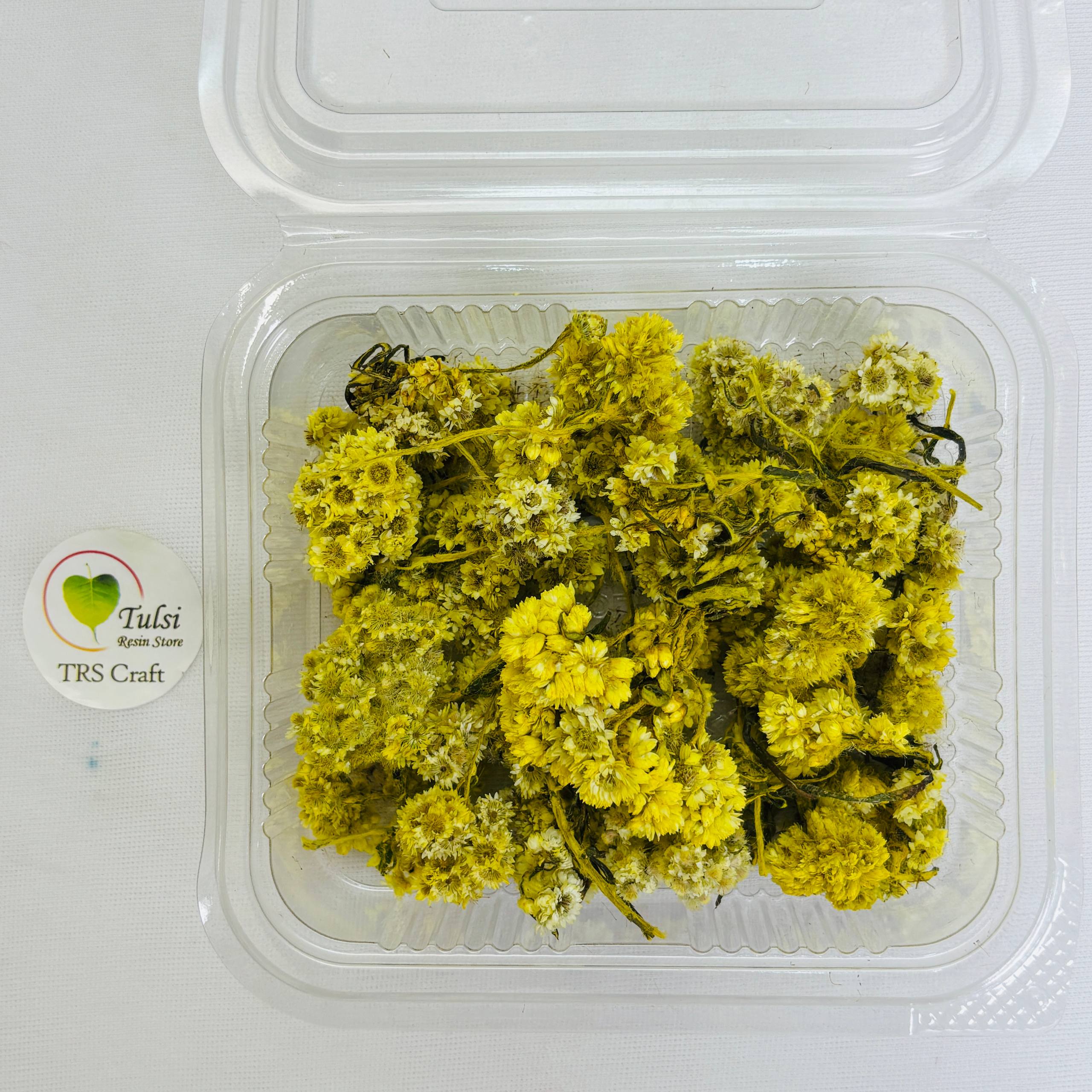 Wild Daisy Dry Flower Box - (B)