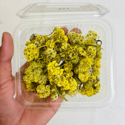 Wild Daisy Dry Flower Box - (B)