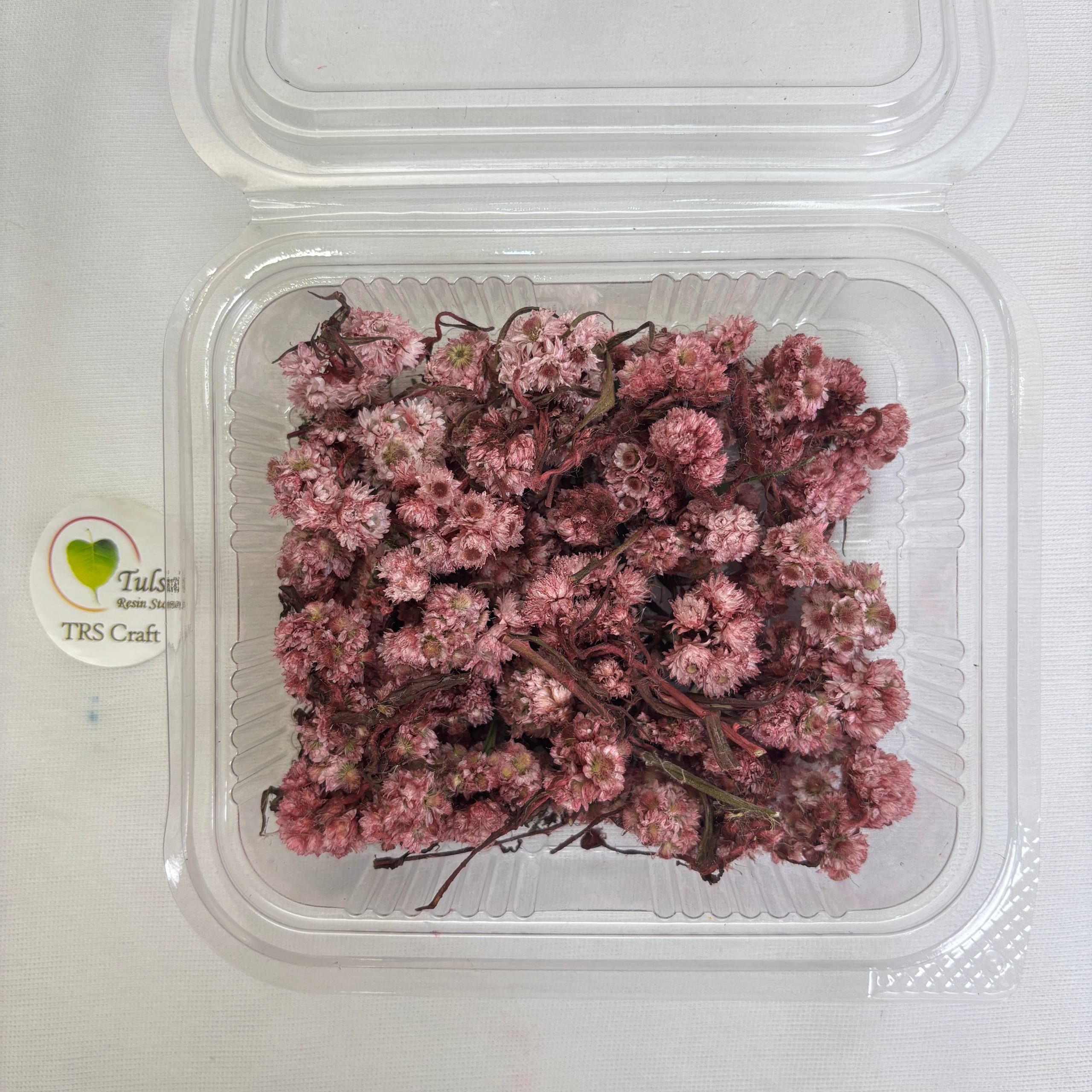 Wild Daisy Dry Flower Box - (D)