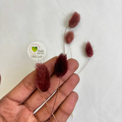 ذيل الأرنب (5 قطع)
