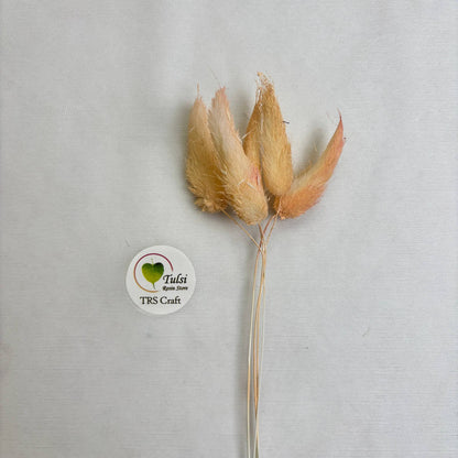 ذيل الأرنب (5 قطع)