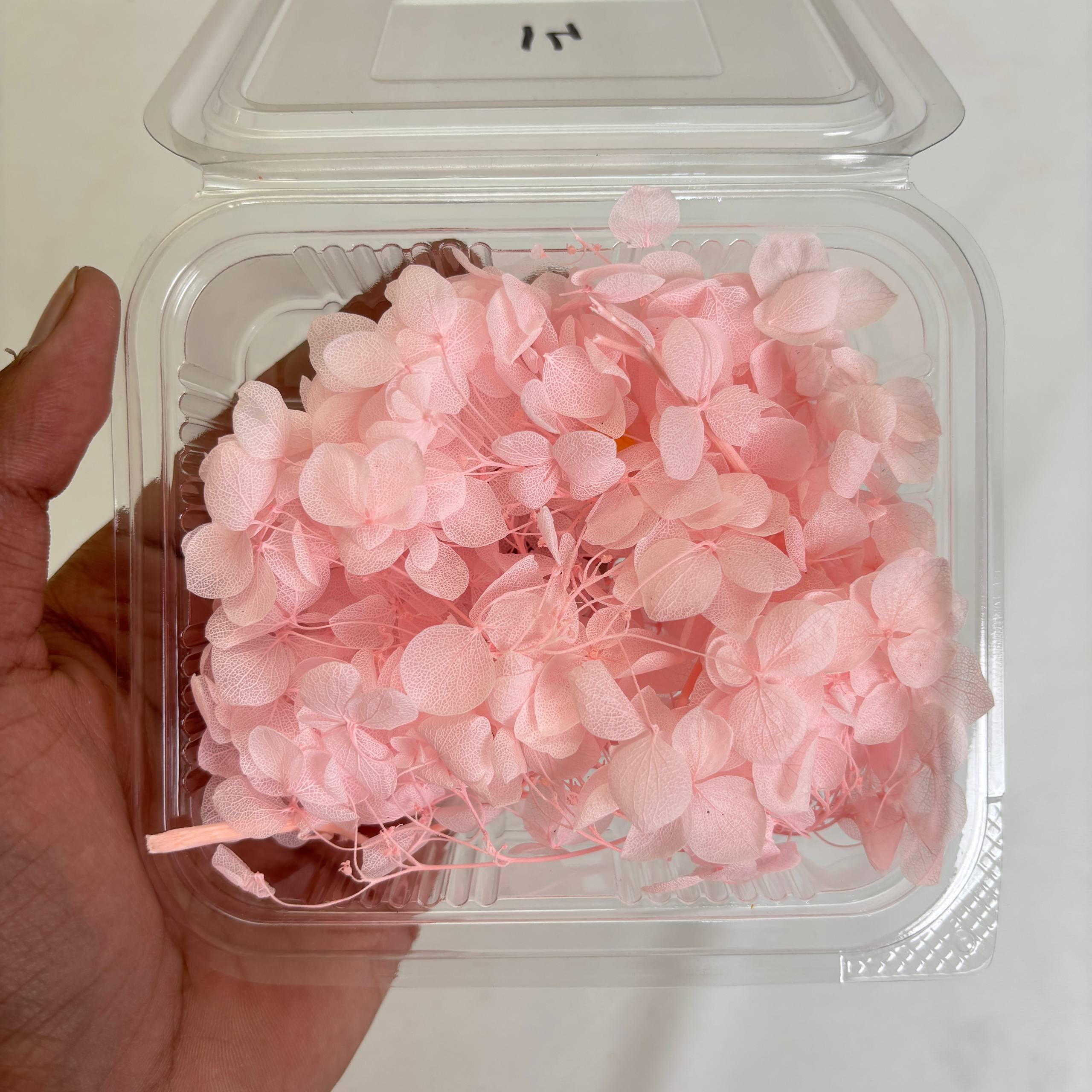 Hydrangea Dry Flower Box - (K)