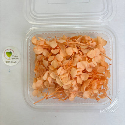 Hydrangea Dry Flower Box - (G) - - Tulsi Resin Store