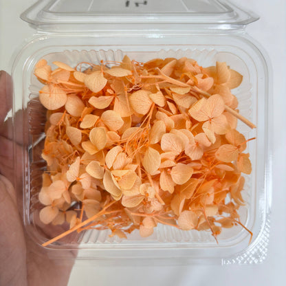 Hydrangea Dry Flower Box - (G) - - Tulsi Resin Store