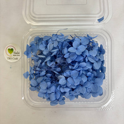 Hydrangea Dry Flower Box - (H) - - Tulsi Resin Store