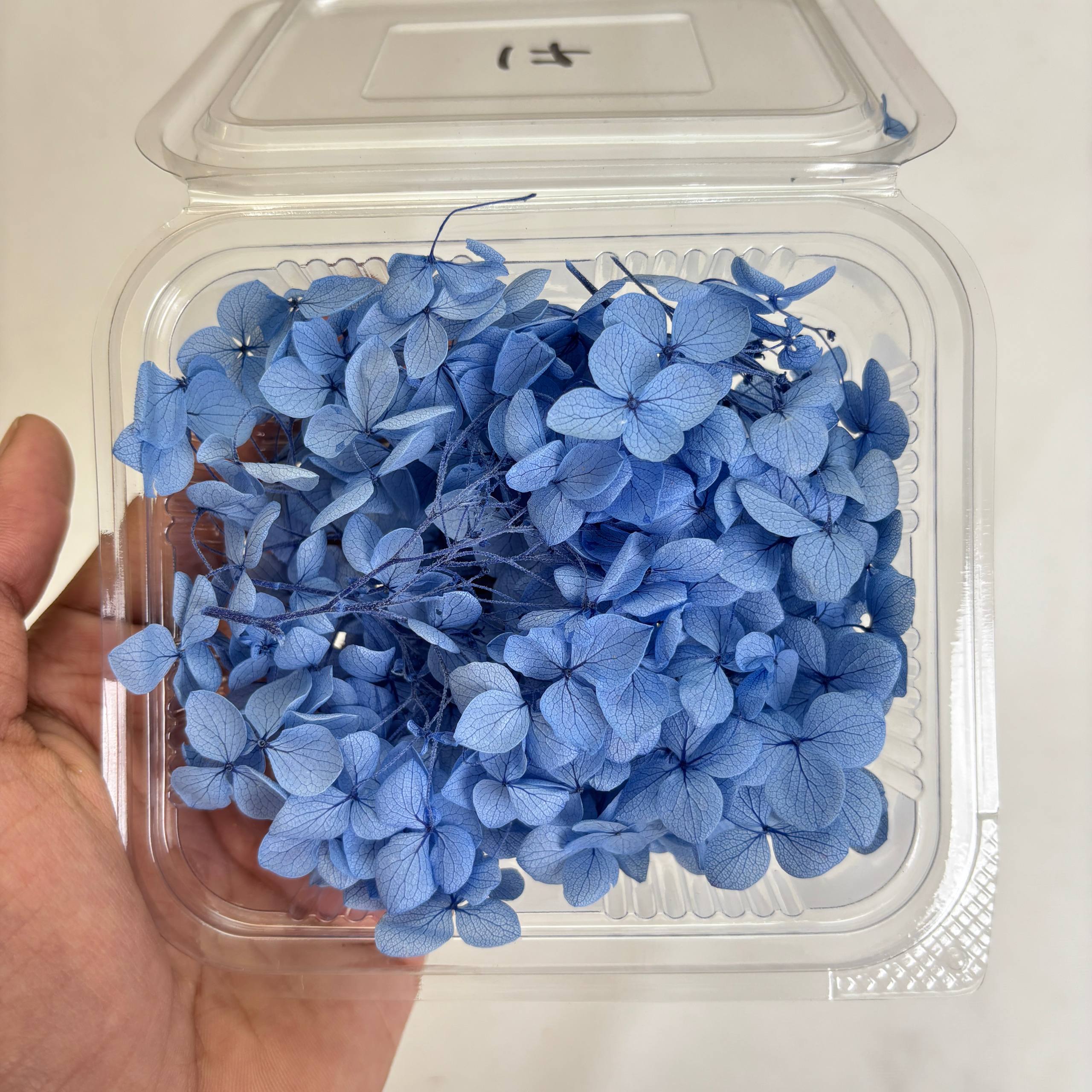 Hydrangea Dry Flower Box - (H) - - Tulsi Resin Store