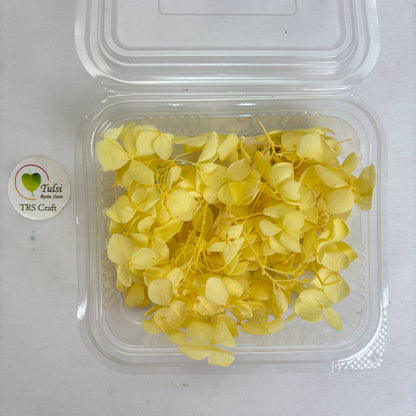 Hydrangea Dry Flower Box - (A)