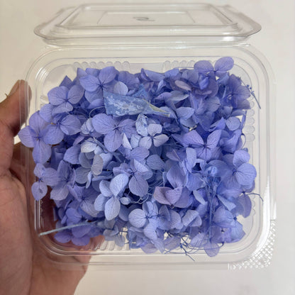 Hydrangea Dry Flower Box - (D)