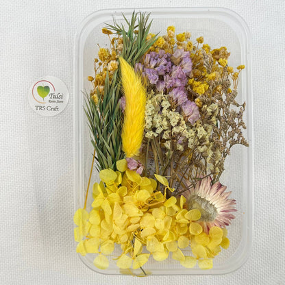 Dry Flower For Resin Art Code - C