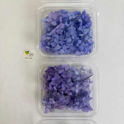 Hydrangea Dry Flower Box - (D)
