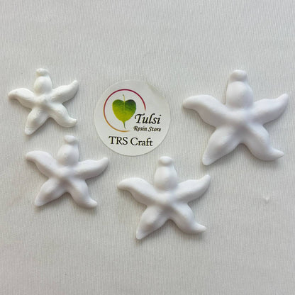 3D Miniature (A08) - Starfish